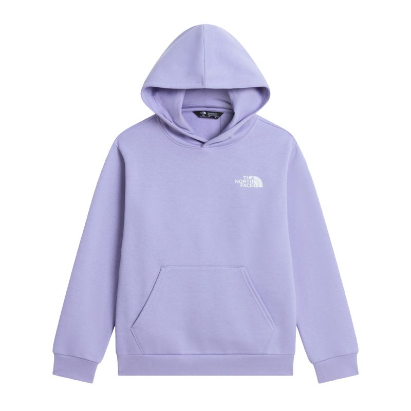 Felpa Teen Evolution Box Nse Hoodie Pale Plum