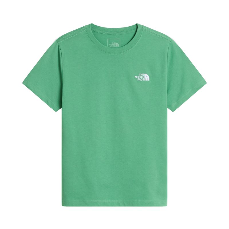 T-shirt Teen Evolution Simple Dome Dimmed Algae
