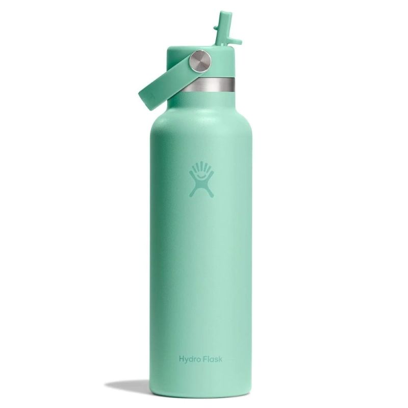 Standard With Flex Straw Cap 621ml Capri Blu