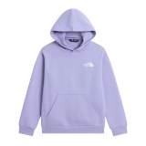 FELPA TEEN EVOLUTION BOX NSE HOODIE PALE PLUM