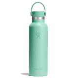 STANDARD WITH FLEX CAP 621ML MERMAID GREEN