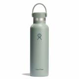 STANDARD WITH FLEX CAP 621ML AGAVE